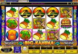 Big-Kahuna-Slots-3