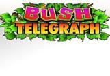 Bush-Telegraph-Slots-1