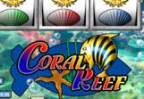 Coral-Reef-Slots-1