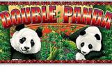 Double-Panda-Slots-1