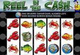 Reel-In-The-Cash-Slots-1