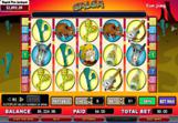 Salsa-Slots-3_0
